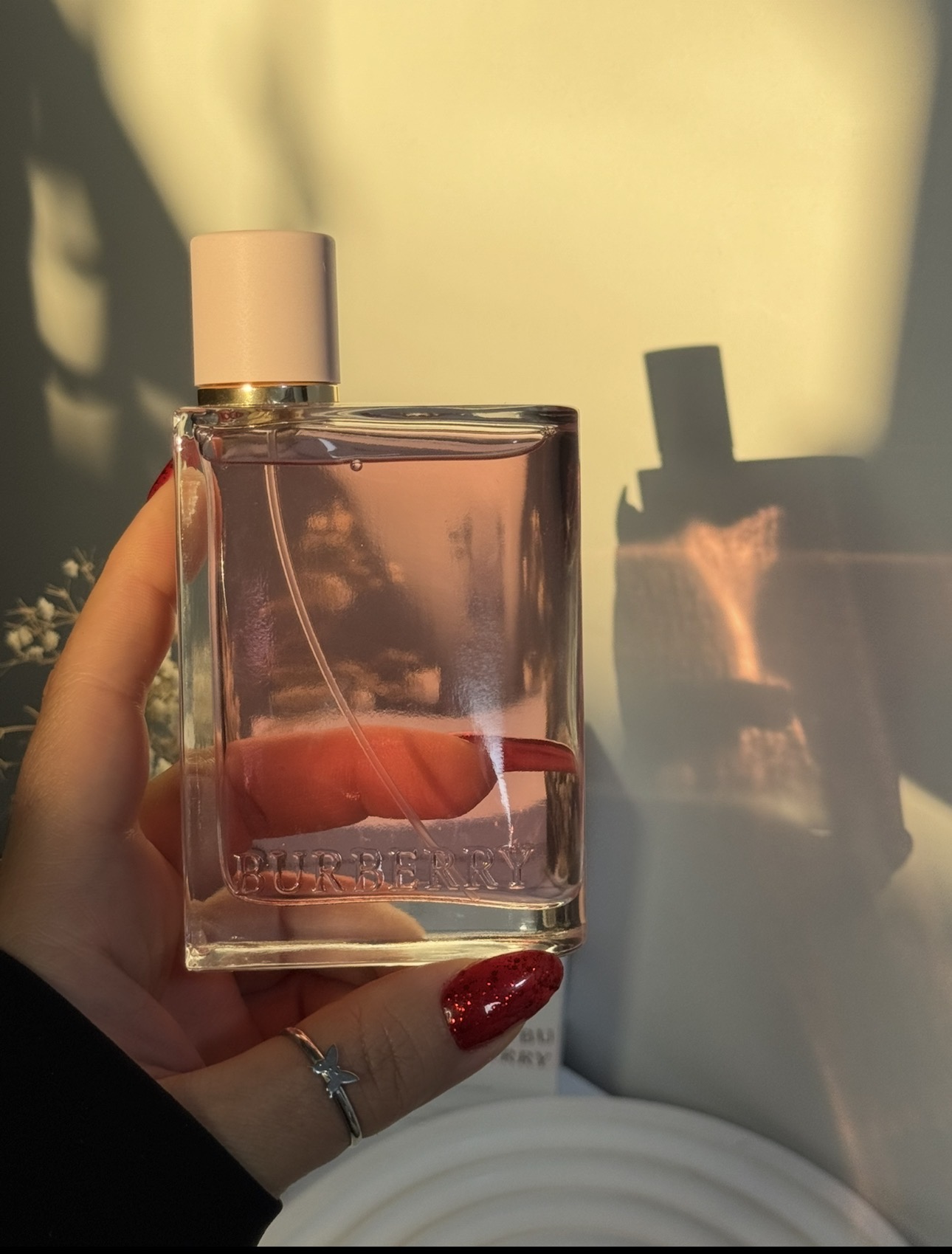 عطر ادکلن باربری هر ۱۰۰ میل